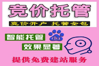 SEM托管服务助力企业在线营销案例